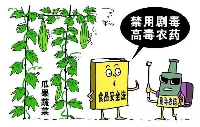 如何防止和減少農藥在種植業(yè)產品中的殘留