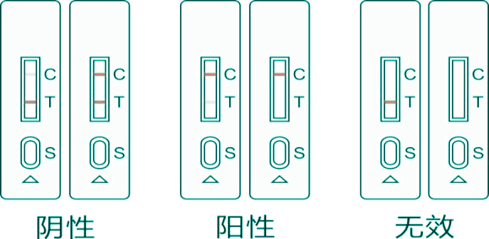 沙丁胺醇快速檢測卡結(jié)果判讀